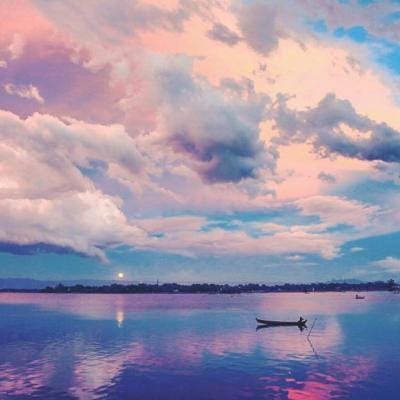 صبحت ہامید avatar